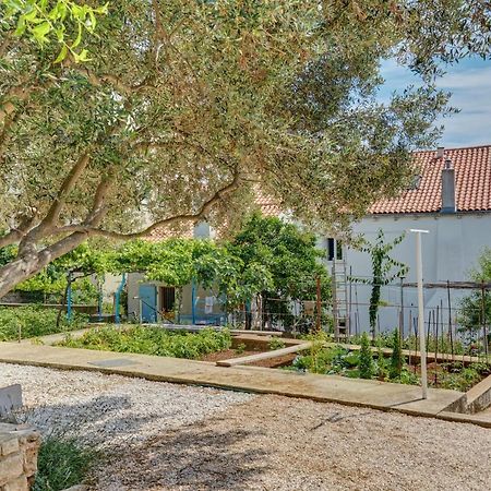 Apartment Dami Mali Lošinj Exterior foto
